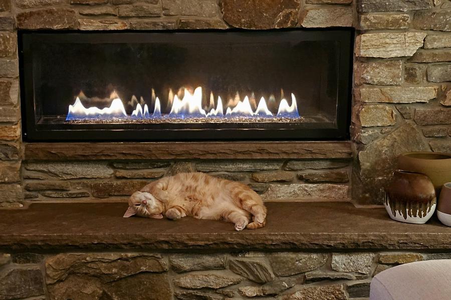 A ginger cat happily lazes next to a fire with a glass door, they're on their back and wearing a joyful expression
